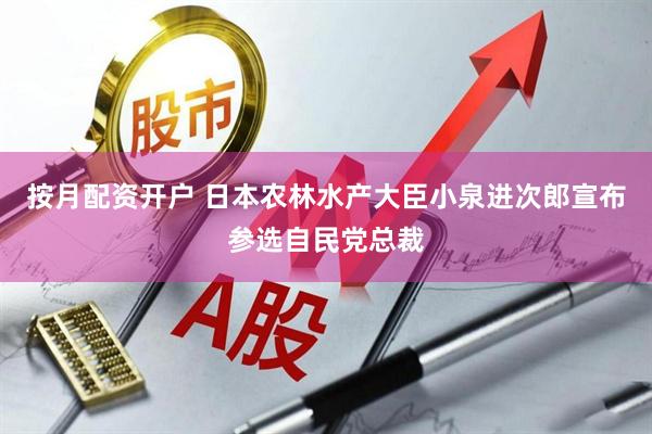 按月配资开户 日本农林水产大臣小泉进次郎宣布参选自民党总裁